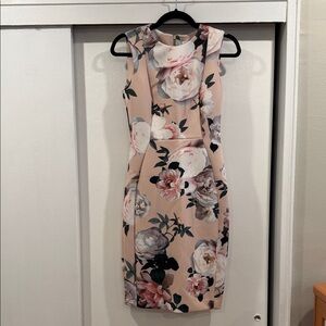 Calvin Klein Sleeveless Blush Pink Floral Midi Sheath Dress/ Woman/ Size 4